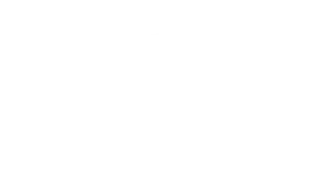 disney-logo-white.webp