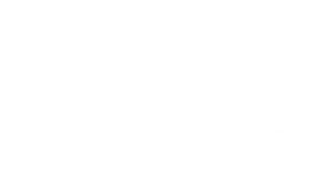 paramount-logo.webp