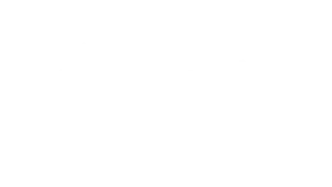 premier-league-logo-white.webp