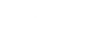 showtime-logo.webp